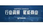 025年人造珠宝市场开元棋牌全面分析2